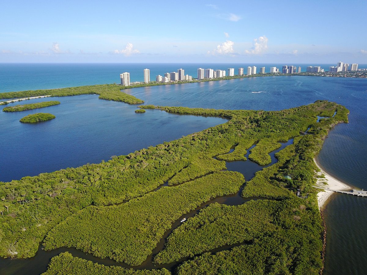Aerial view of the mangroves of Munyon Island in the lagoon at John D. MacArthur Beach State Park, with Singer Island's towers along the ocean beyond