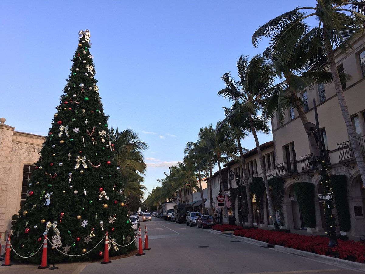The decorated Christmas tree on Worth Avenue by day, with palms and red poinsettias along the shopfronts